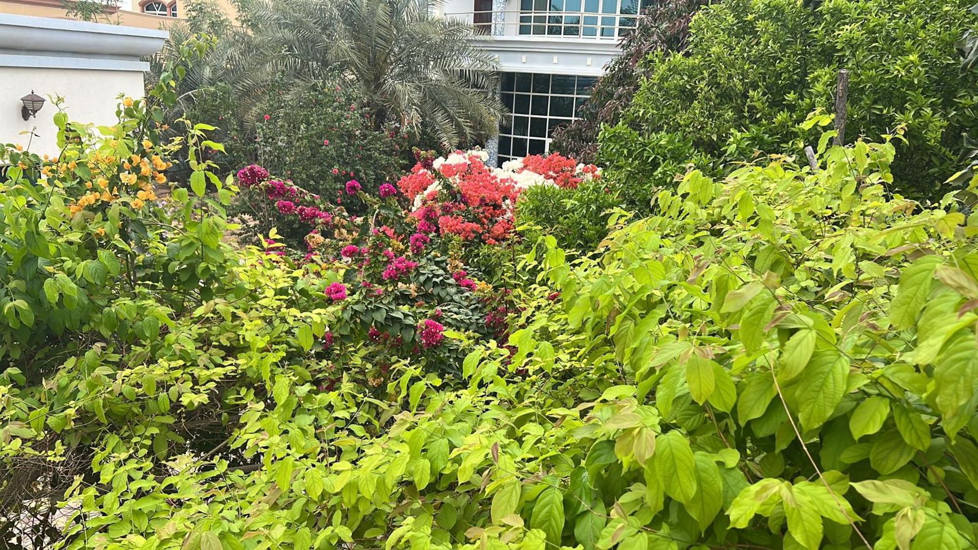 Alhosani Property Abu Dhabi Buitenkant foto