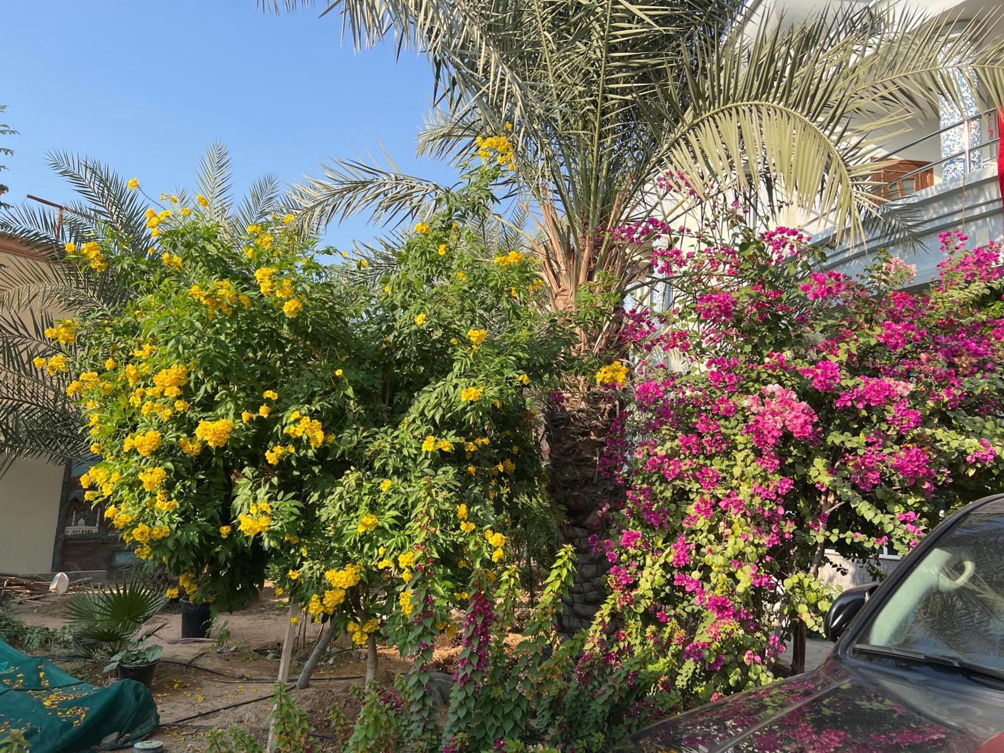 Alhosani Property Abu Dhabi Buitenkant foto